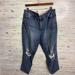 AMERICAN EAGLE Mom Jeans 18 Long blue